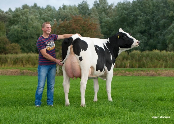 Liesbeth 68, 2nd calver, Owner: VOF v.d. Weerd, Aduard