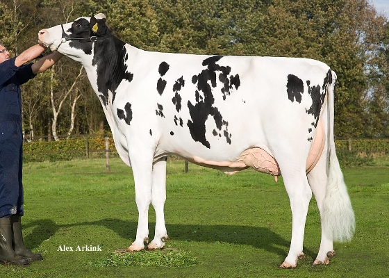 vd Pettershoeve Leida 464, Owner: Mts Hkg+Ag Petter-Aufderhaar, Ommen