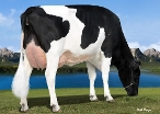 Bryhill Ransom Marquisse-ET, Dam of Chuck