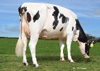 Murphy Daughter# 266 M & V Tileman, Atiamuri