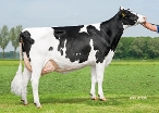 Willems Hoeve Rita 885, Granddam of Relevant