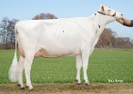 Delta Mia, dam of Multiplan