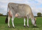 Daughter #301 - AC & NL Walford, Matamata