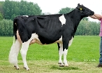 Delta Justine - avó materna (2.03  305d  9.235kg  3,58%G  3,62%P)