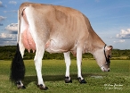 JX PVF PROP JOE ZAP (DAM OF ZANDER)