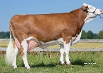 Glucke, dam of Varta