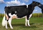 Emmert Tango Goldstar ET, Dam of Peak Barkley