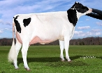 Siemers Rubicn M-Roz-Mia (Dam of Lukaku)