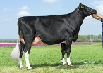 VVH Topgear Loraine  ( volle zus Lustrum)  Eig: Van Veelen Holsteins, Biddinghuizen