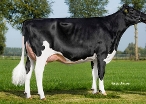 Mor til Woody: Willems-Hoeve Rita 1626a (Jetset); ejet af Fa. D. de Jong