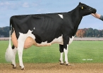 Delta Alana (4th of dam Abundant P RF and 108.000 kg milk) owner: A J E Vernooij, Schalkwijk