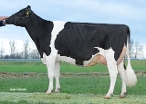 Mars Froukje 684   (full sister of Fisherman) owner: Mts. van Essen, Marsum