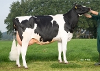 Truus 592 (granddam of Trevor) owner: Mts. Stegink-Haarman, Bathmen