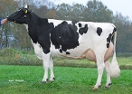 Etazon Racha   (granddam of Ravel Red) owner: KAFM & LPJ Nooijen-Maas, Coevorden