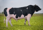 Liberty Genetics GRANTZ ZP AORANGI S1F