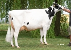 Jantina 282 (s.Ranger)  owner:: Mts J.g. & A.g. Sturkenboom, Schalkwijk