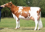 Mary Ann 20 (s. Multimate); owner: Mts H.J. & N. & B. Groot Wassink, Rekken