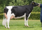 Delta Juba 32 (s. Multimate); owner: Mts. A.G.M. & J.T.M. Groot Koerkamp- Buiting