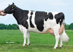 Delta Madelon (s. Stellando); dam of Multimate