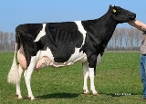 Marwil L M Alexia (5e moeder Amuse) eig: J H S Holsteins, Nieuw en St Joosland