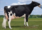 Clear-Echo 822 Ramos 1200, EX 94; 5th dam of Groot