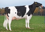 Delta Thilda (granddam of Truman) owner: Barendonk Holsteins Vof, Beers (NB)