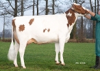 Charisma 3 (s.Multiplan) owner: Mts J.H.M. & J.H.M. & K.H.J. Bolscher,  Bornerbroek