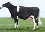 Caudumer Lol 342   (dam of Lifesaver) owner: Mts. S.H. & T. Haytema-de Groot, Koudum