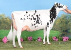 Koepon Rubi Classy 267 (granddam of Cashback) owner: Koepon, Feerwerd