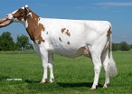 Caudumer Lol 305 (3rd dam of Launch PP) owner: Mts. Haytema-de Groot, Koudum