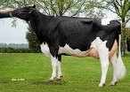 Skalsumer Pietje 1055 (full sister Pilates) owner: Mts Hemmink-Frederiks, Geesteren Ov