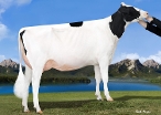 Da-So-Burn Burberry VG87, 4th dam of Bastion-P