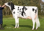 vd Pettershoeve Leida 464, Owner: Mts Hkg+Ag Petter-Aufderhaar, Ommen