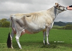 Daughter: Thornlea Goas Tansy Ex2, Thornlea Jerseys, Waverley